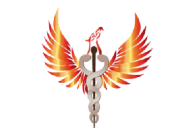 Hanse-Therapie Vorschau Logo Phoenix